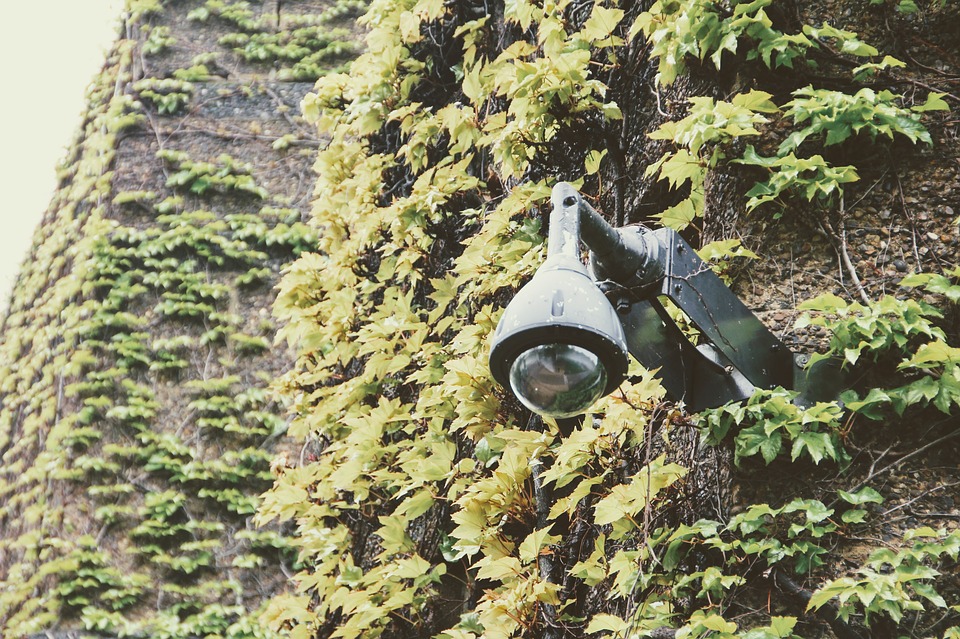 video surveillance